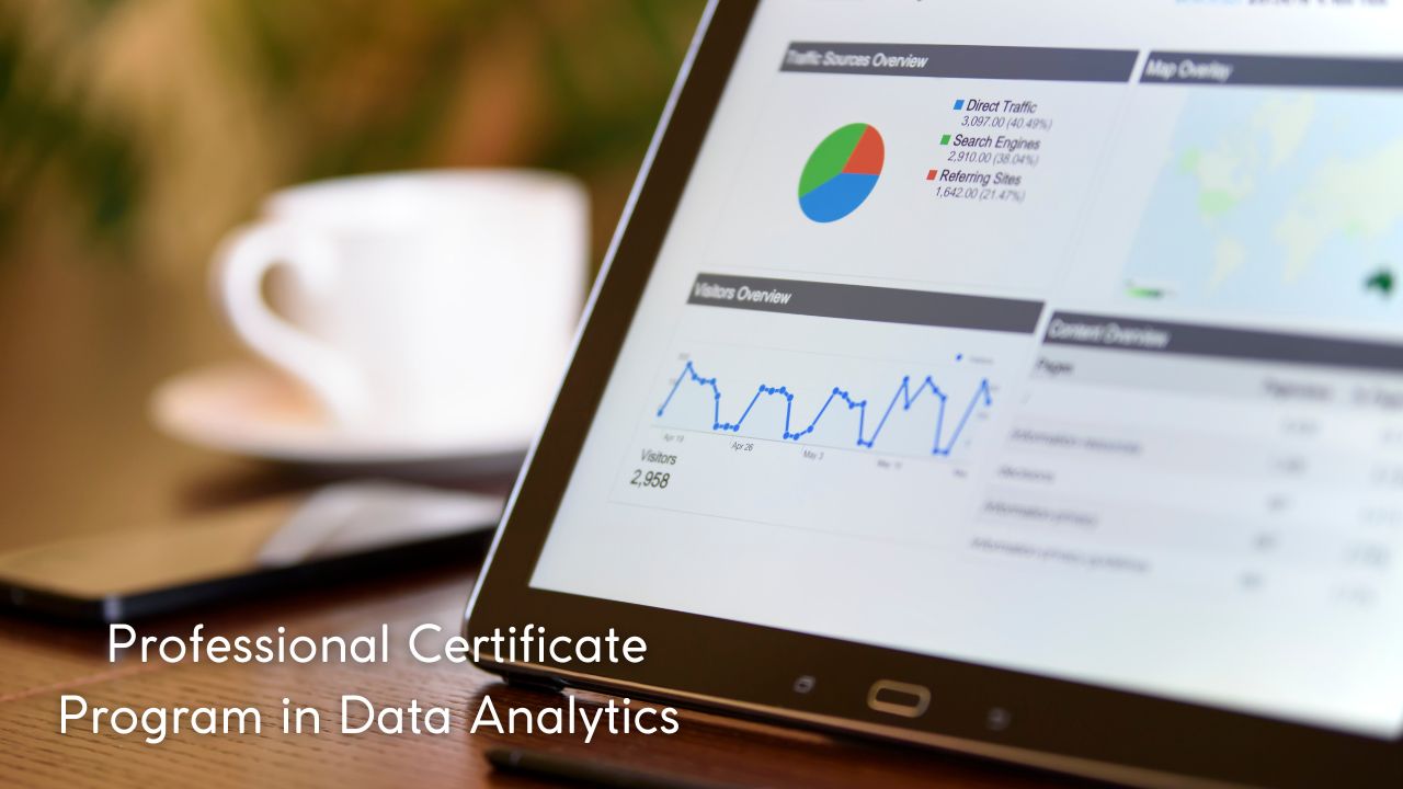 Professional Certificate Program In Data Analytics