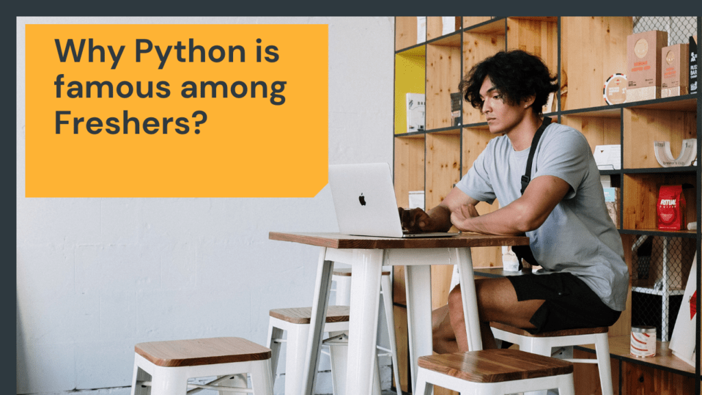 Why Python is famous among freshers?