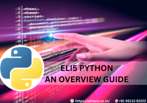Understanding of Eli5 Python