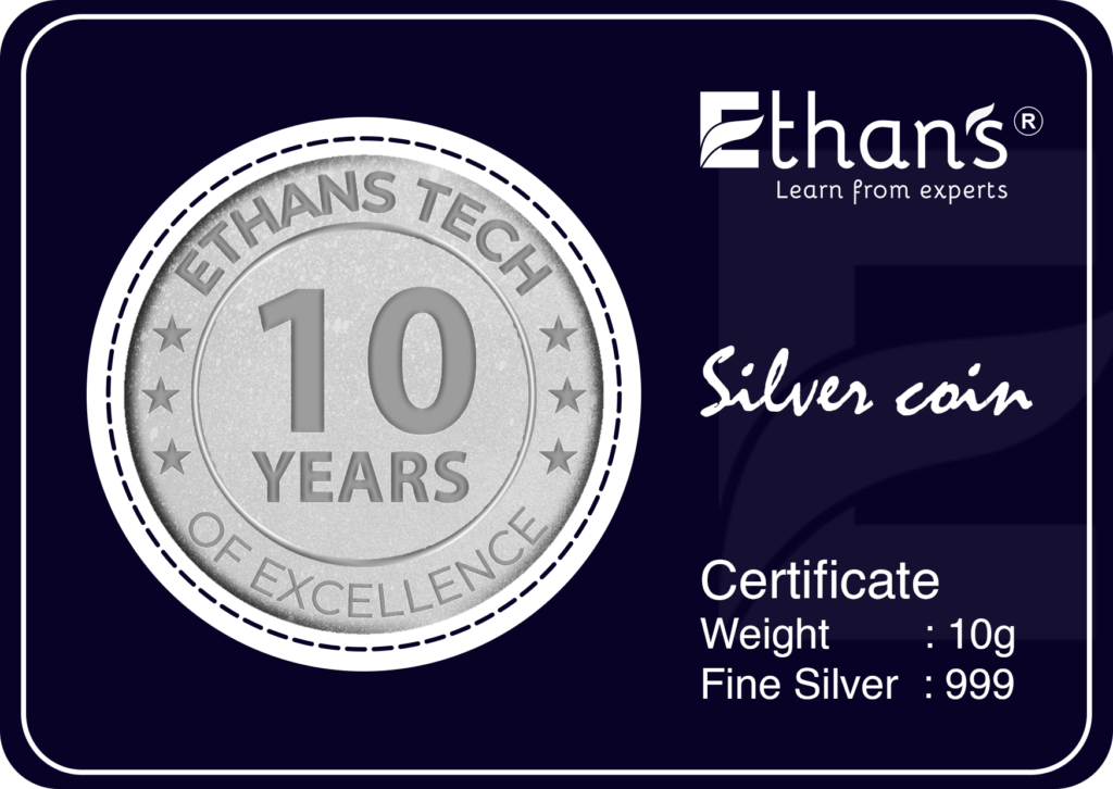 Silver Coin WebDesign2