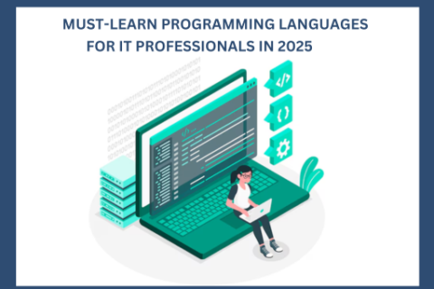 Programming Languages for IT Professionals in 2025