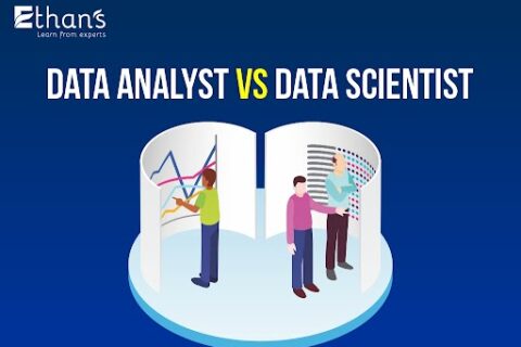 Data Analyst vs Data Scientist Course