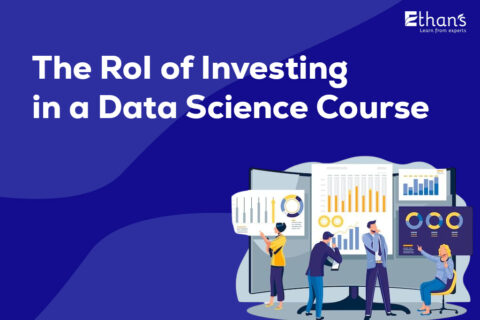 RoI of Investing in a Data Science Course