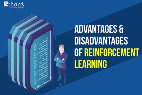 Advantages and Disadvantages of Reinforcement Learning